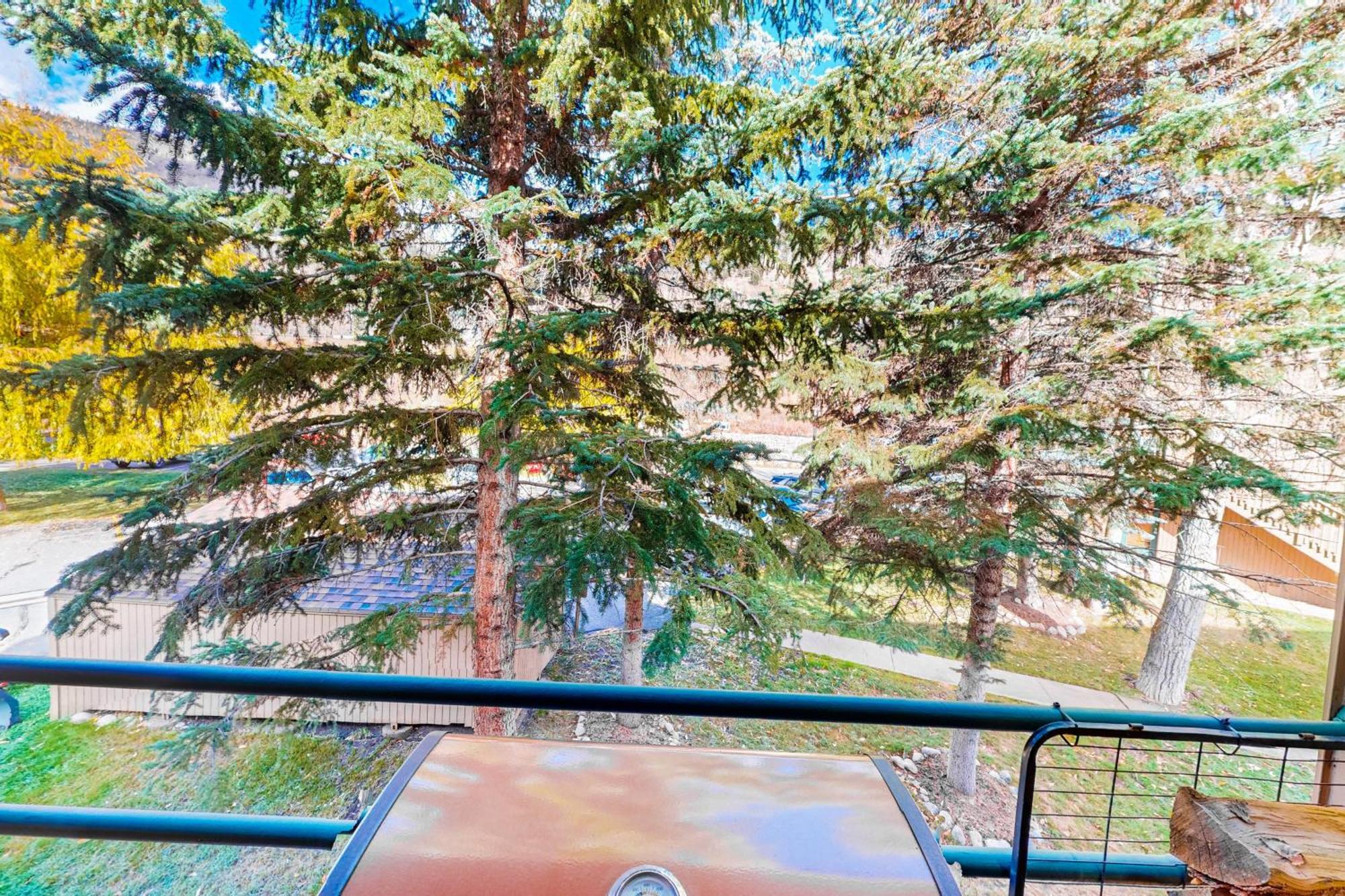 Pitkin Creek Park 7 Villa Vail Room photo